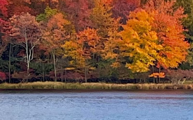 Kayaking on the lake
